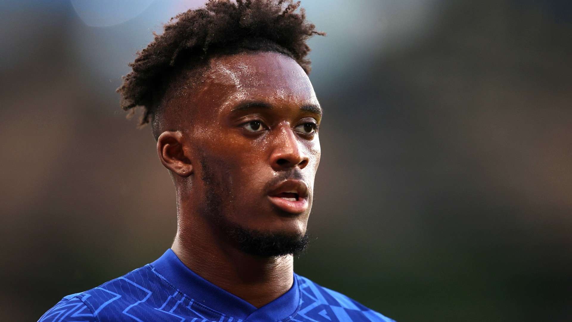 士队的阵容 士队的阵容